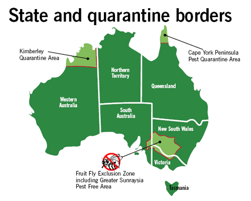 State quarantine borders | BSPC Removalists
